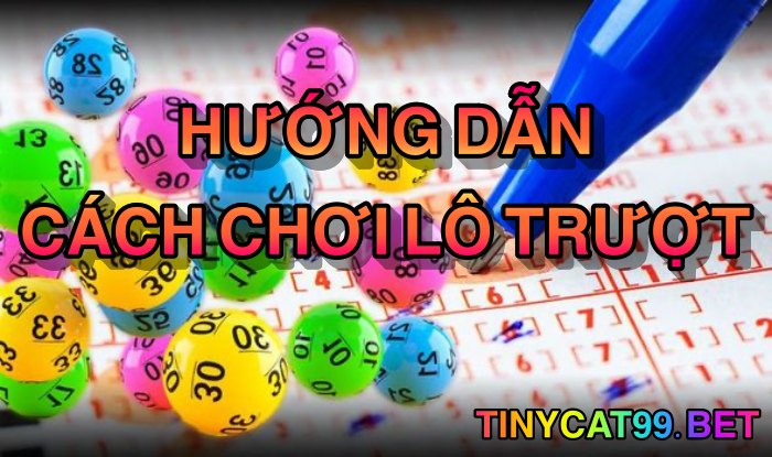  Hướng dẫn cách chơi lô trượt