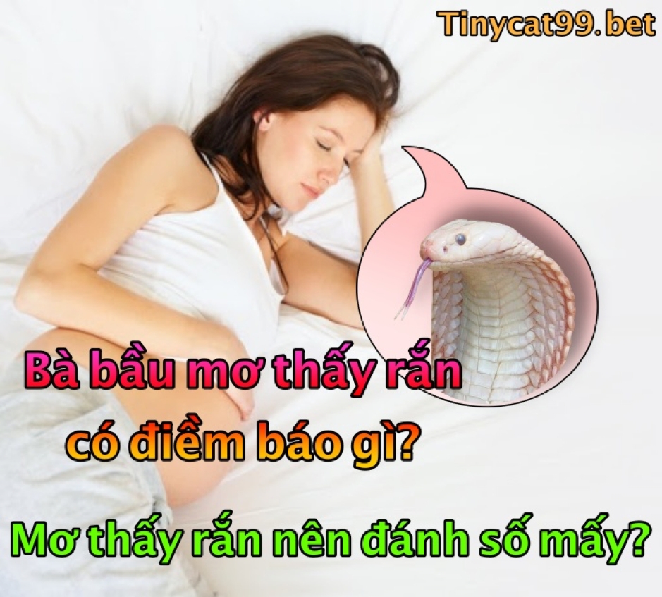 Bà bầu nằm mơ thấy rắn 