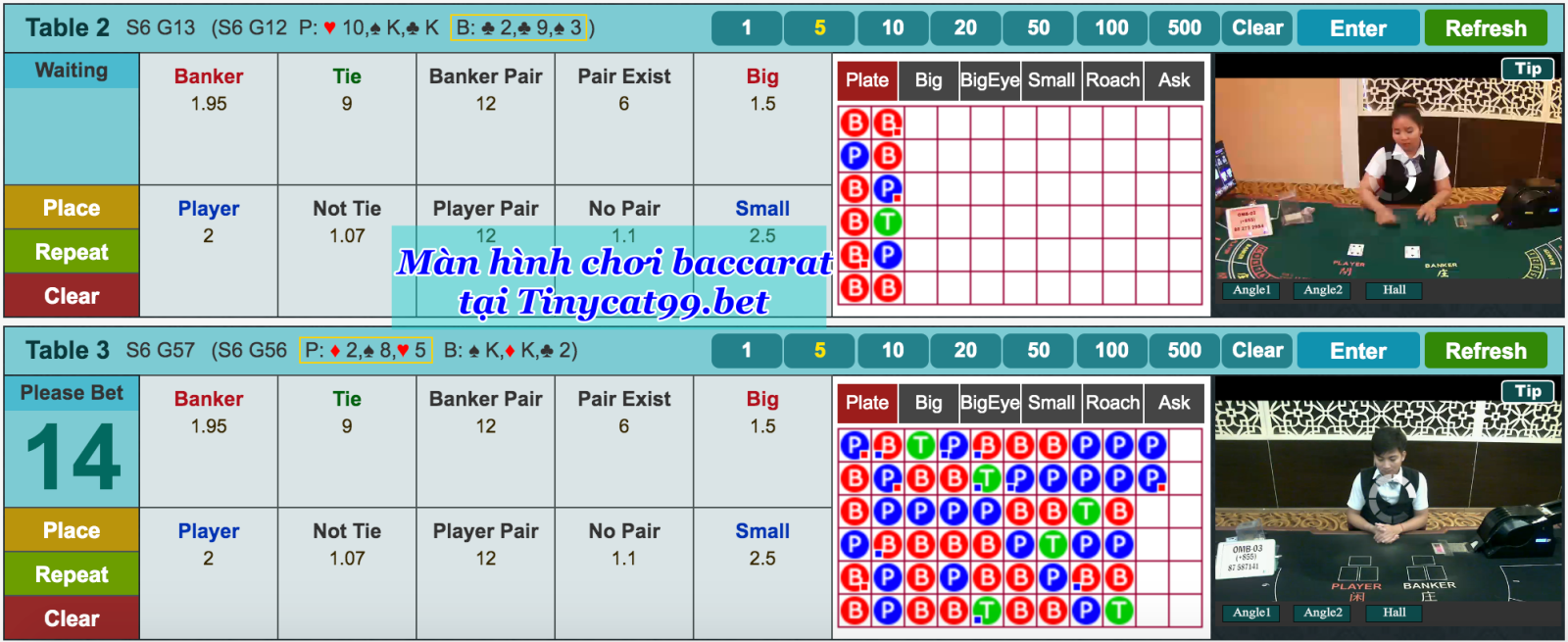 Chơi bài Baccarat Tinycat99, choi bai baccarat tinycat99, cách chơi baccarat tinycat99, cach choi baccarat tinycat99, baccarat tinycat99