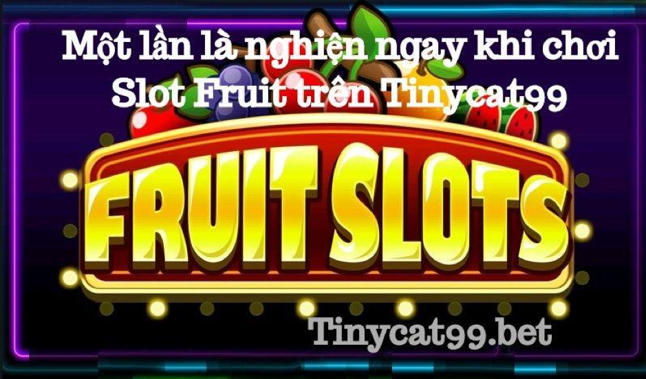 Slot Fruit trên Tinycat99, slot fruit tinycat99