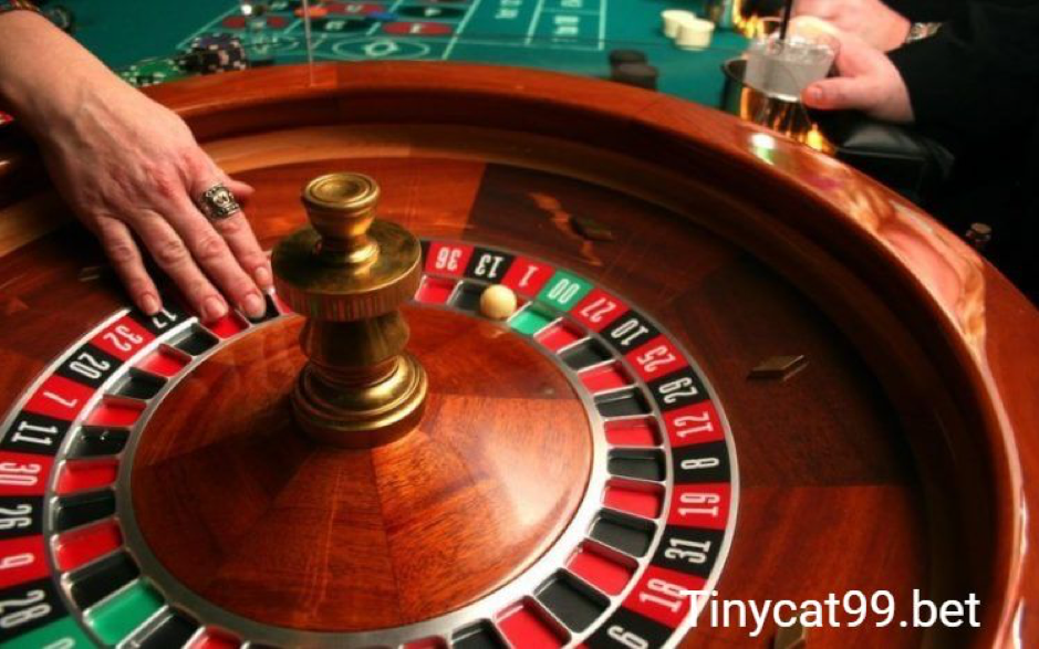 casino trực tuyến tinycat99, casino truc tuyen tinycat99, casino online tinycat99, casino truc tuyen, casino trực tuyến, casino online