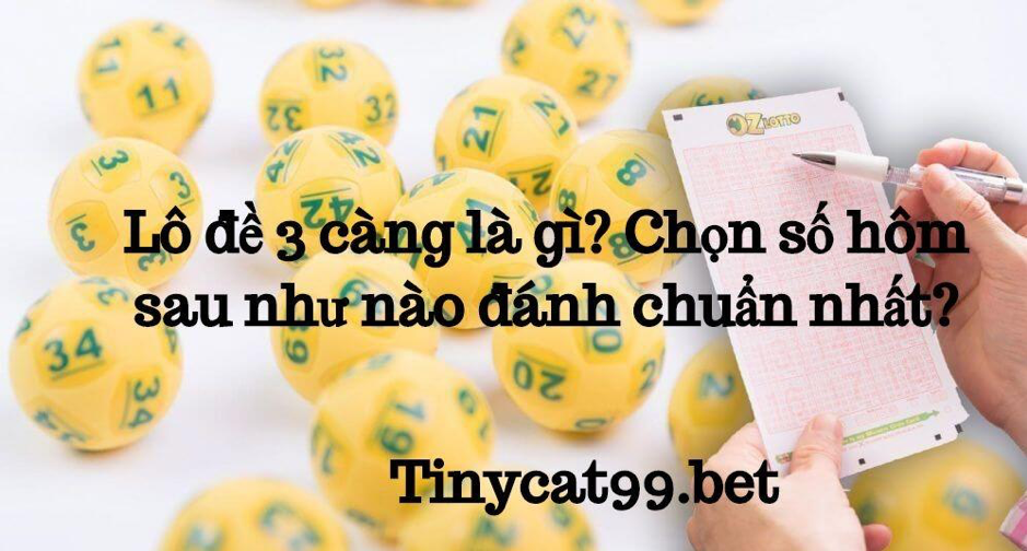 Lô đề 3 càng là gì, lo de 3 cang la gi, lô đề 3 càng, lo de 3 cang