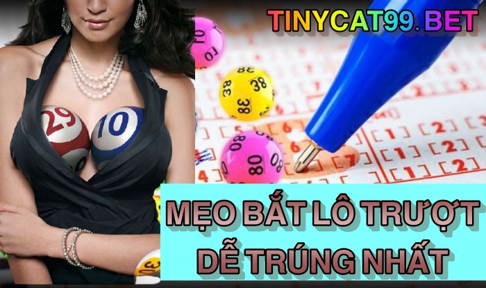 Mẹo đánh lô trượt để trúng đậm