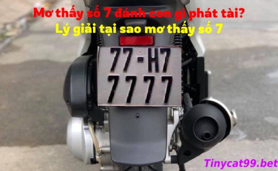 Mơ thấy biển số xe toàn con số 7