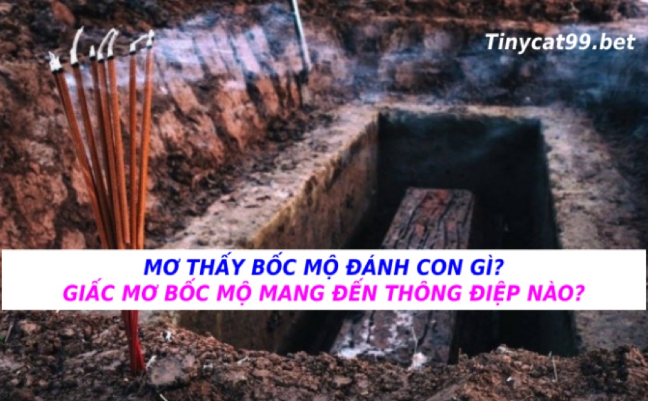 mơ thấy bốc mộ