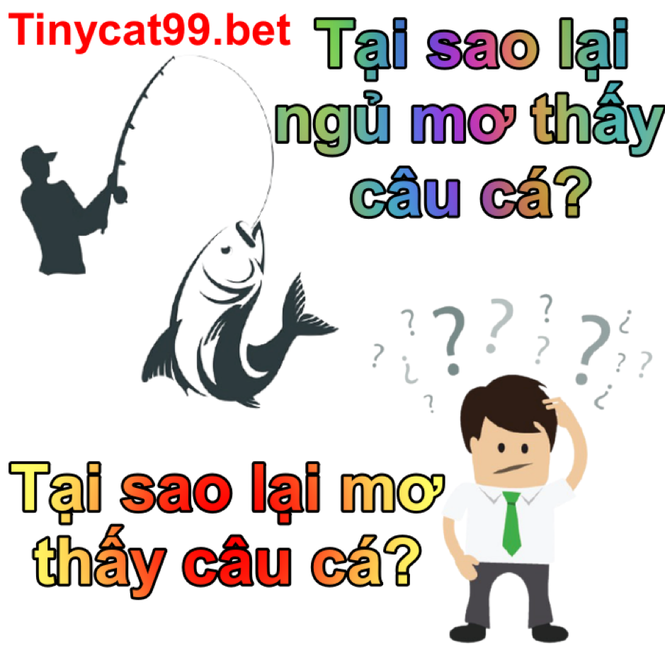 nằm mơ thấy câu cá