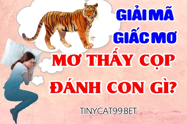 mơ thấy hổ cọp đánh số mấy, mơ thấy hổ cọp đánh con gì, mơ thấy cọp đánh con gì, mơ thấy hổ đánh con gì, con cọp số mấy, con hổ số mấy