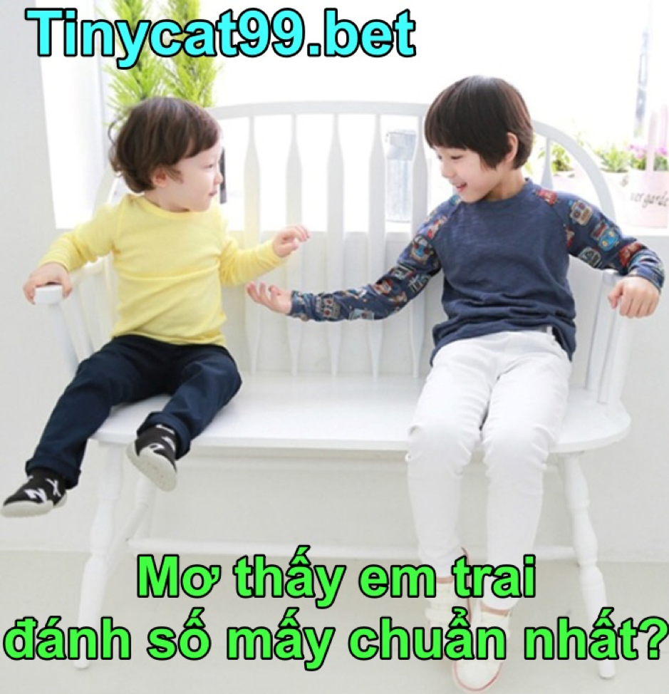 mơ thấy em trai, mơ thấy em trai đánh con gì, mơ thấy em trai số mấy, mơ thấy em trai điềm gì