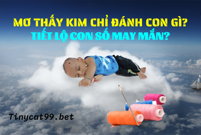 Điềm báo hên hay xui khi mơ thấy kim chỉ