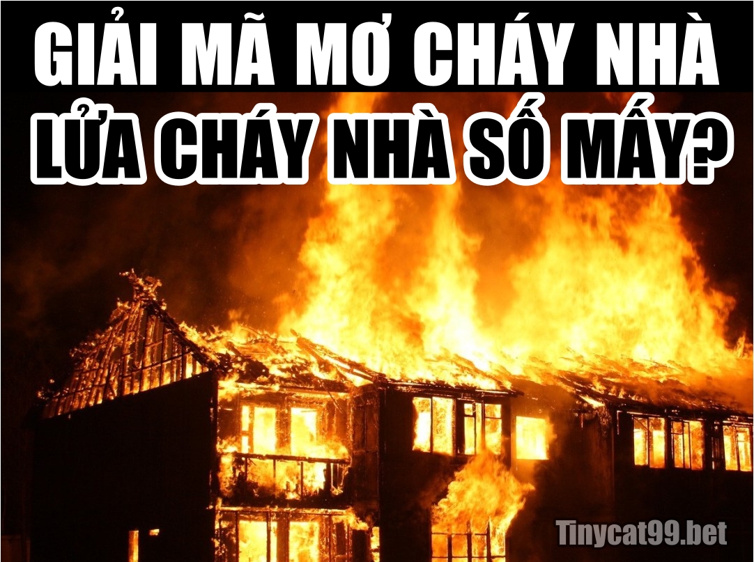 Mơ thấy lửa cháy nhà, mơ thấy lửa cháy nhà đánh con gì, mo thay lua chay nha, mơ thấy lửa