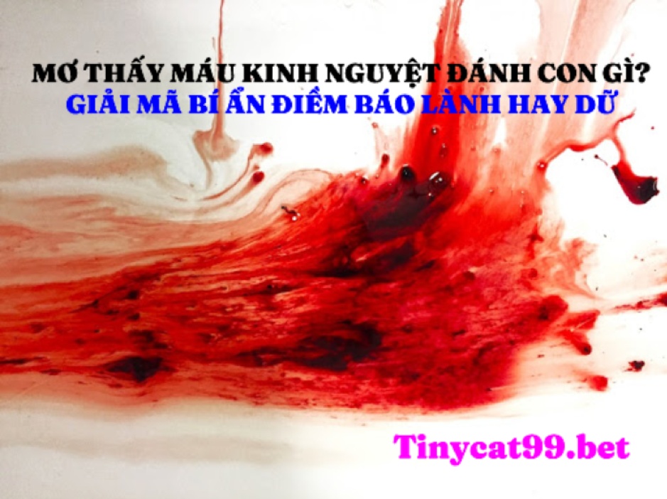 Mơ Thấy Máu Kinh Nguyệt Đánh Số Gì