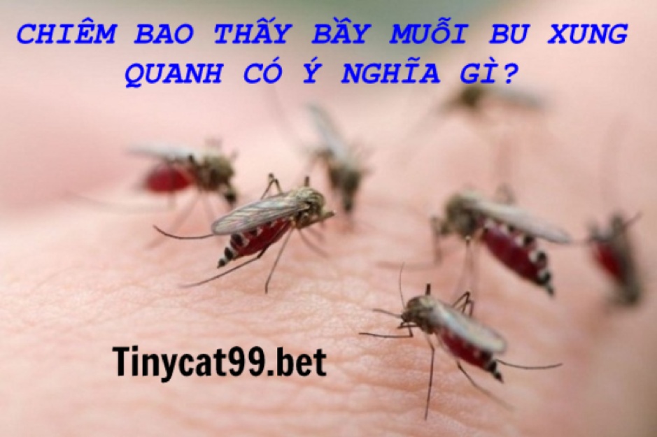 Mơ Thấy Muỗi Đánh Con Gì