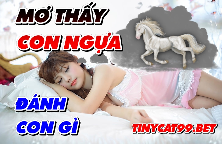 mơ thấy ngựa đánh con gì, mo thay ngua danh con gi, con ngựa số mấy, con ngua so may, ngua so gi, mơ ngựa số mấy, mo ngua danh so may, mo ngua danh so bao nhieu