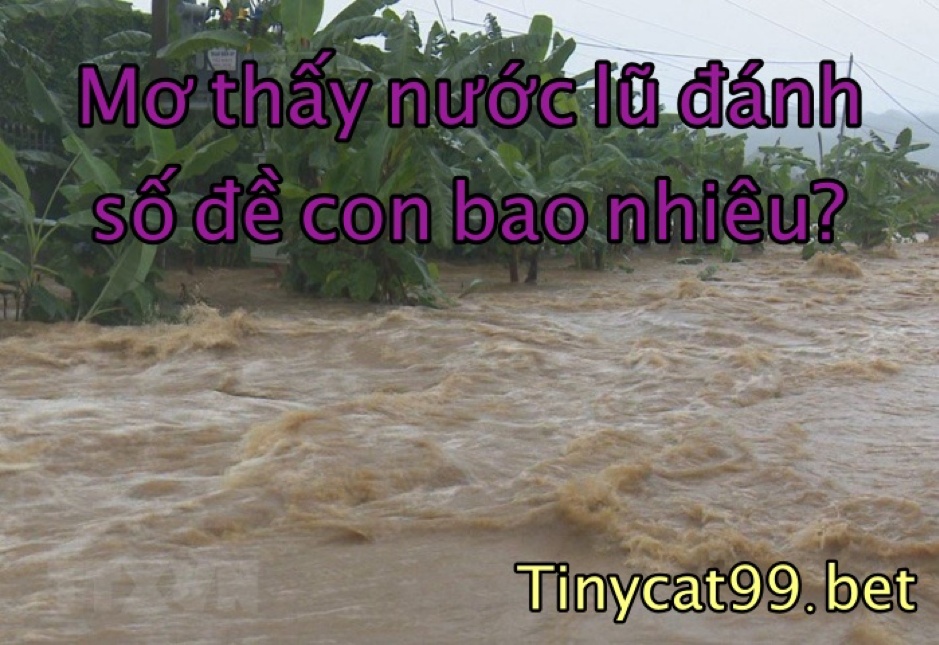 mơ thấy nước lũ