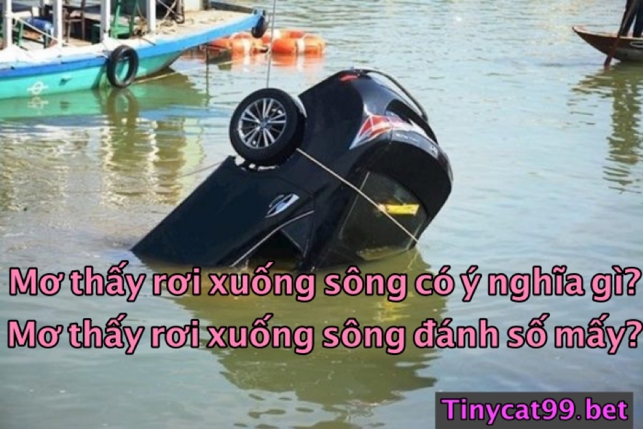 Mơ Thấy Rơi Xuống Sông