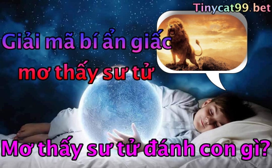 mơ thấy sư tử 