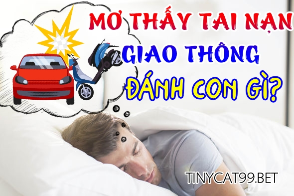 mơ thấy tai nạn giao thông, mo thay tai nan giao thong, mơ thấy tai nạn giao thông đánh con gì, mo thay tai nan giao thong danh con gi, mơ tai nạn giao thông, mo tai nan giao thong