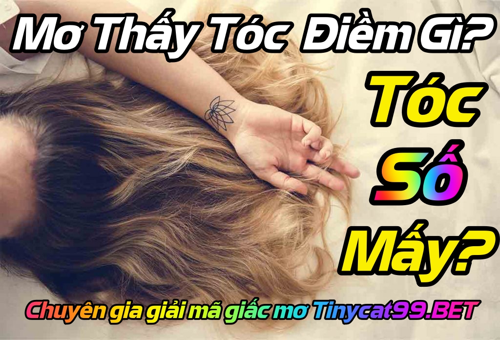 mơ thấy tóc đánh con gì, mo thay toc, mơ thấy tóc, tóc số mấy