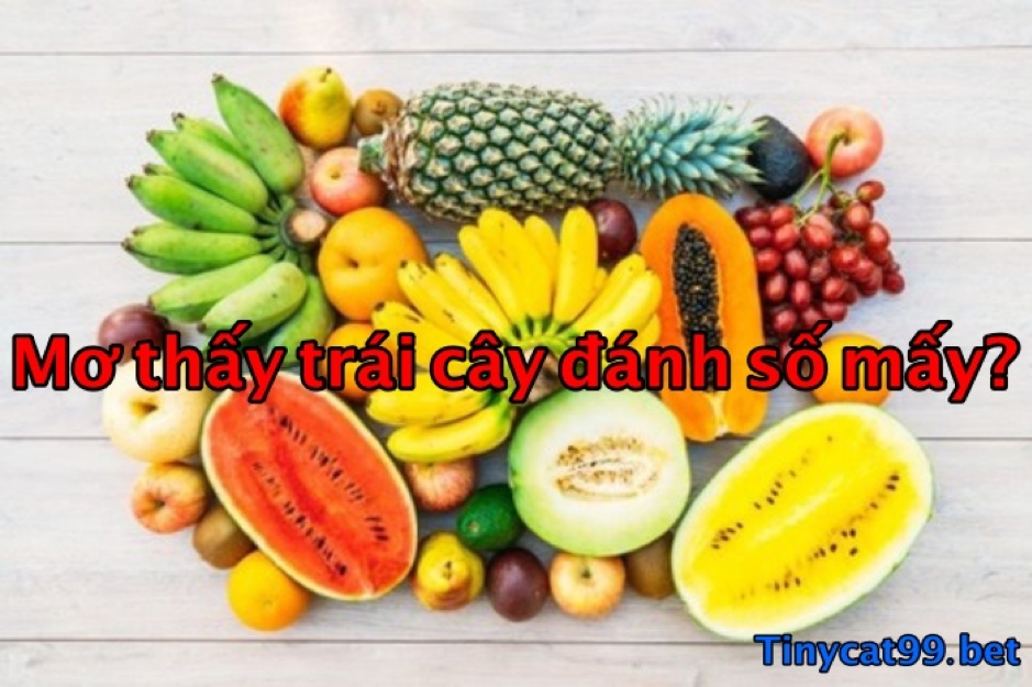 mơ thấy trái cây 