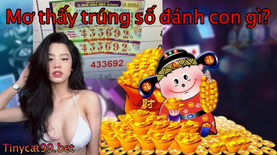 mơ thấy trúng số