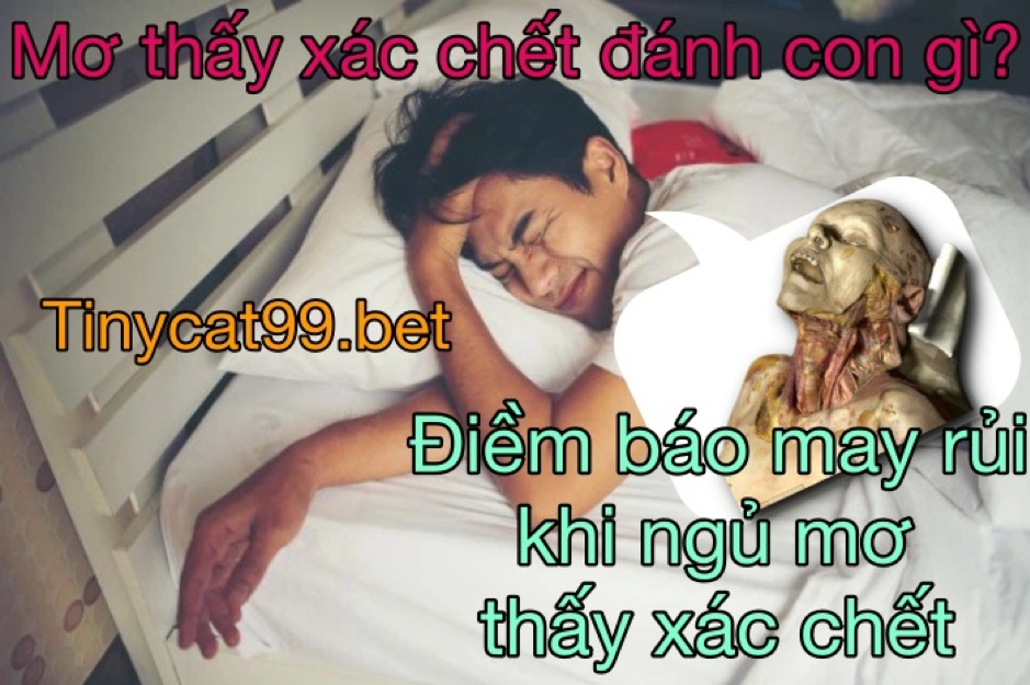 mơ thấy xác chết