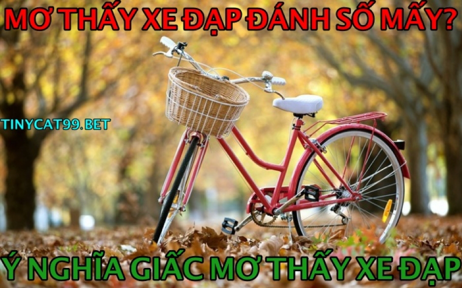 Nằm Mơ thấy Xe Đạp 