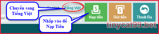 Cách Nạp Tiền Vào TinyCat99 Nhanh Chóng - Chính Xác Nhất