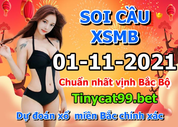 soi cầu xsmn 01 11 2021, soi cầu mn 01-11-2021, dự đoán xsmn 01-11-2021, btl mn 01-11-2021, dự đoán miền nam 01-11-2021, chốt số mn 01-11-2021, soi cau mien nam 01 11 2021