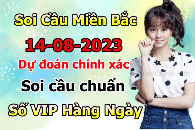 soi cầu xsmn 14/08/23, soi cầu mn 14 08 2023, dự đoán xsmn 14/08/23, btl mn 14 08 2023, dự đoán miền nam 14 08 2023, chốt số mn 14/08/2023, soi cau mien nam 14 08 2023