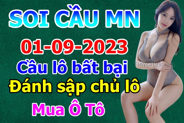 soi cầu xsmn 01-09-2023, soi cầu mn 01-09-2023, dự đoán xsmn 01-09-2023, btl mn 01-09-2023, dự đoán miền nam 01-09-2023, chốt số mn 01-09-2023, soi cau mien nam 01-09-2023