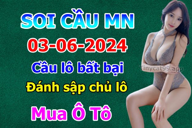 vsoi cầu xsmn 03-06-2024, soi cầu mn 03/06/2024 , dự đoán xsmn 03-06-2024, btl mn 03 06 24, dự đoán miền nam 03/06/2024, chốt số mn 03-06-2024, soi cau mien nam 03-06-2024