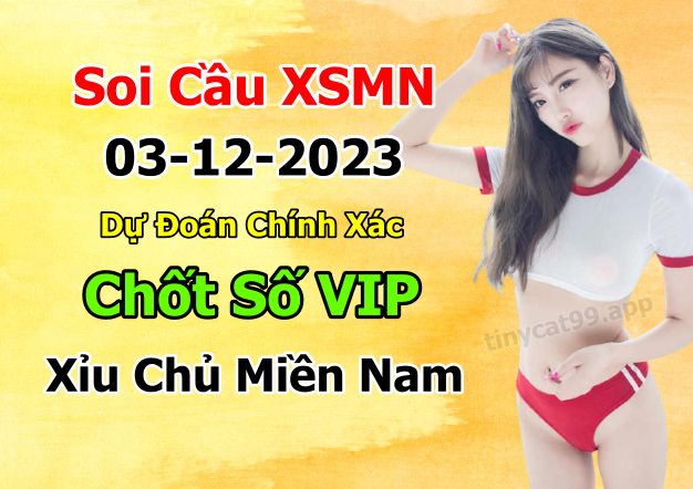 soi cầu xsmn 03-12-2023, soi cầu mn 03-12-2023, dự đoán xsmn 03-12-2023, btl mn 03-12-2023, dự đoán miền nam 03-12-2023, chốt số mn 03-12-2023, soi cau mien nam 03 12 2023