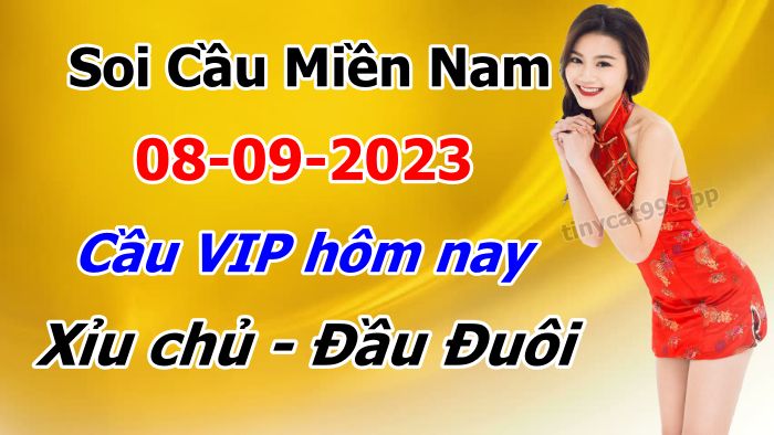 soi cầu xsmn 08-09-2023, soi cầu mn 08-09-2023, dự đoán xsmn 08-09-2023, btl mn 08-09-2023, dự đoán miền nam 08-09-2023, chốt số mn 08-09-2023, soi cau mien nam 08-09-2023