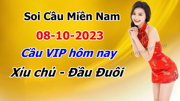 soi cầu xsmn 08-10-2023, soi cầu mn 08-10-2023, dự đoán xsmn 08-10-2023, btl mn 08-10-2023, dự đoán miền nam 08-10-2023, chốt số mn 08-10-2023, soi cau mien nam 08 09 2023