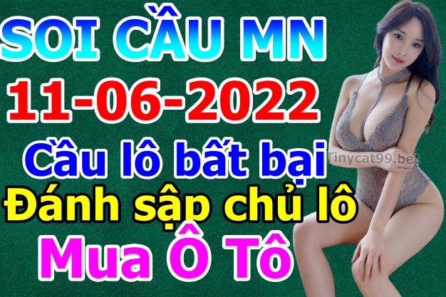 soi cầu xsmn 11 06 2022, soi cầu mn 11-06-2022, dự đoán xsmn 11-06-2022, btl mn 11-06-2022, dự đoán miền nam 11-06-2022, chốt số mn 11-06-2022, soi cau mien nam 11-06-2022