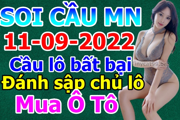 soi cầu xsmn 11 09 2022, soi cầu mn 11-09-2022, dự đoán xsmn 11-09-2022, btl mn 11-09-2022, dự đoán miền nam 11-09-2022, chốt số mn 11-09-2022, soi cau mien nam 11-09-2022