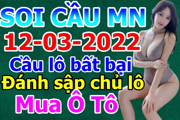 soi cầu xsmn 12 03 2022, soi cầu mn 12-03-2022, dự đoán xsmn 12-03-2022, btl mn 12-03-2022, dự đoán miền nam 12-03-2022, chốt số mn 12-03-2022, soi cau mien nam 12-03-2022