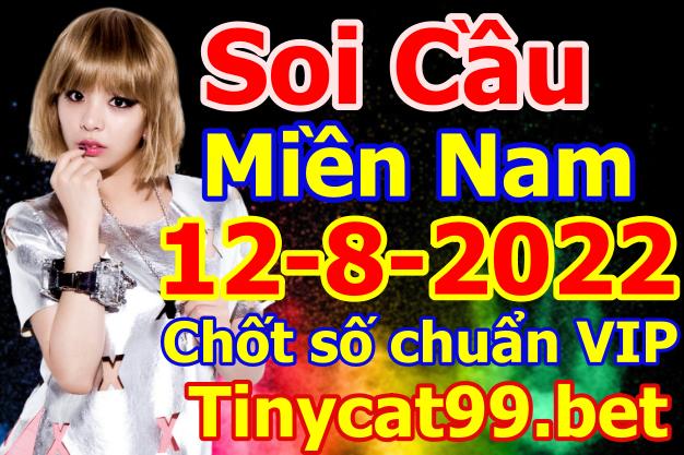 soi cầu xsmn 12-08-2022, soi cầu mn 12-08-2022, dự đoán xsmn 12-08-2022, btl mn 12-08-2022, dự đoán miền nam 12-08-2022, chốt số mn 12-08-2022, soi cau mien nam 12-08-2022