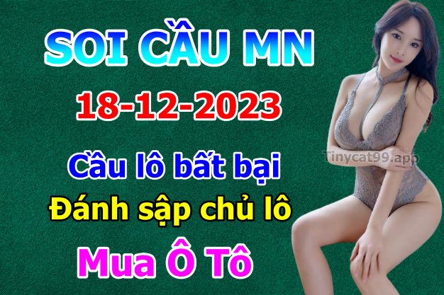 vsoi cầu xsmn 18-12-2023, soi cầu mn 18/12/2023, dự đoán xsmn 18-12-2023, btl mn 18 12 23, dự đoán miền nam 18/12/2023, chốt số mn 18-12-2023, soi cau mien nam 18-12-2023