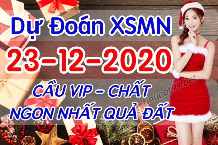 soi cầu xsmn 23 12 2020, soi cầu mn 23-12-2020, dự đoán xsmn 23-12-2020, btl mn 23-12-2020, dự đoán miền nam 23-12-2020, chốt số mn 23-12-2020, soi cau mien nam 23 12 2020