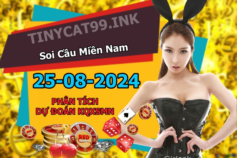 soi cầu xsmn 25-08-2024, soi cầu mn 25-08-2024, dự đoán xsmn 25-08-2024, btl mn 25-08-2024, dự đoán miền nam 25-08-2024, chốt số mn 25-08-2024, soi cau mien nam 25 08 2024