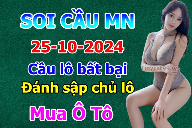 soi cầu xsmn 25-10-2024, soi cầu mn 25-10-2024, dự đoán xsmn 25-10-2024, btl mn 25-10-2024, dự đoán miền nam 25-10-2024, chốt số mn 25-10-2024, soi cau mien nam 25-10-2024