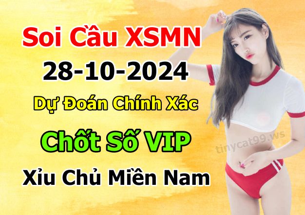 soi cầu xsmn 28-10-2024, soi cầu mn 28/10/2024 , dự đoán xsmn 28-10-2024, btl mn 28 10 24, dự đoán miền nam 28/10/2024, chốt số mn 28-10-2024, soi cau mien nam 28-10-2024