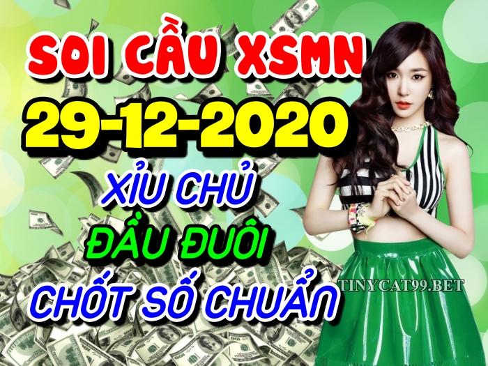 soi cầu xsmn 29 12 2020, soi cầu mn 29-12-2020, dự đoán xsmn 29-12-2020, btl mn 29-12-2020, dự đoán miền nam 29-12-2020, chốt số mn 29-12-2020, soi cau mien nam 29 12 2020