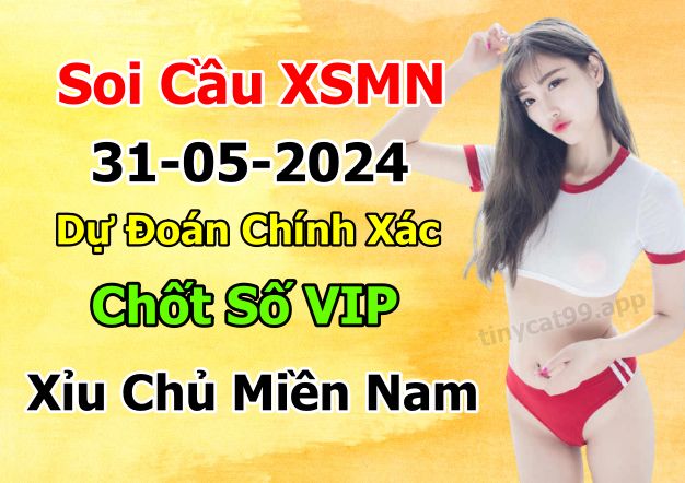 soi cầu xsmn 31-05-2024, soi cầu mn 31-05-2024, dự đoán xsmn 31-05-2024, btl mn 31-05-2024, dự đoán miền nam 24-05-2024, chốt số mn 31-05-2024, soi cau mien nam 31-05-2024