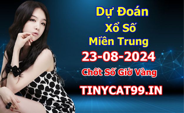 soi cầu xsmt 23-08-2024, soi cầu mt 23-08-2024, dự đoán xsmt 23-08-2024, btl mt 23-08-2024, dự đoán miền trung 23-08-2024, chốt số mt 23-08-2024, soi cau mien trung 23 08 2024