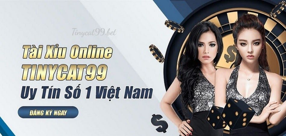 Tinycat99 có hợp pháp không