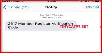 Tạo Tài Khoản Mới Tại TiNyCat99 Cách Đăng Ký Chuẩn và Chi Tiết